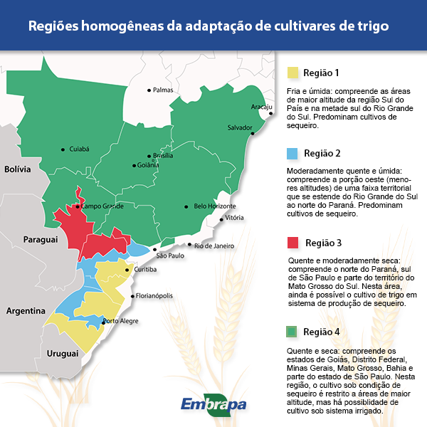Brasil é capaz de produzir além de sua demanda doméstica de trigo