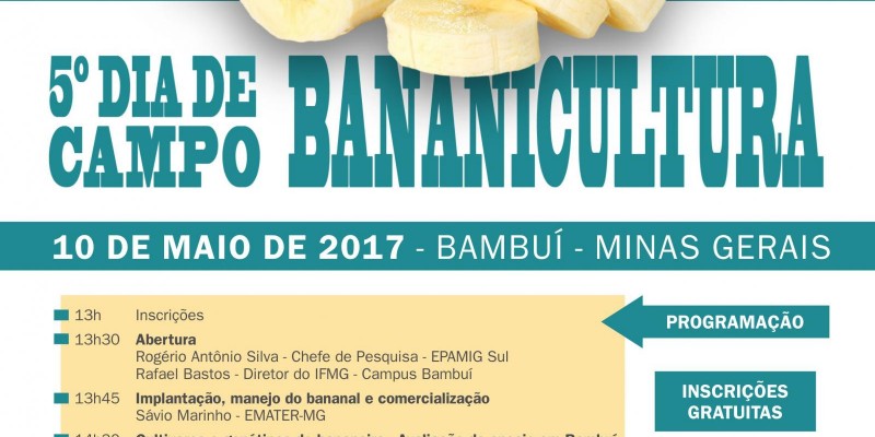 Dia de campo apresenta tecnologias para produção de banana