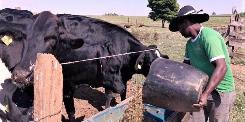 Alta dos custos de produção preocupa produtores de leite