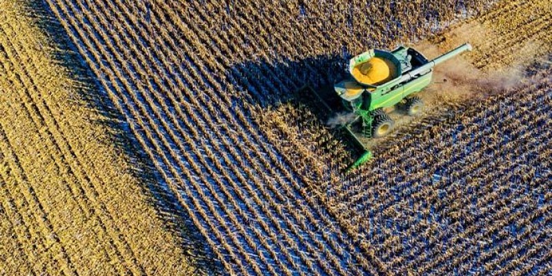 China: a parceira do agro brasileiro