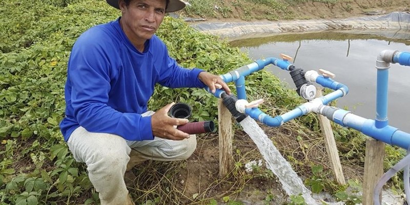 Minas Gerais alcança a maior produtividade algodoeira do país