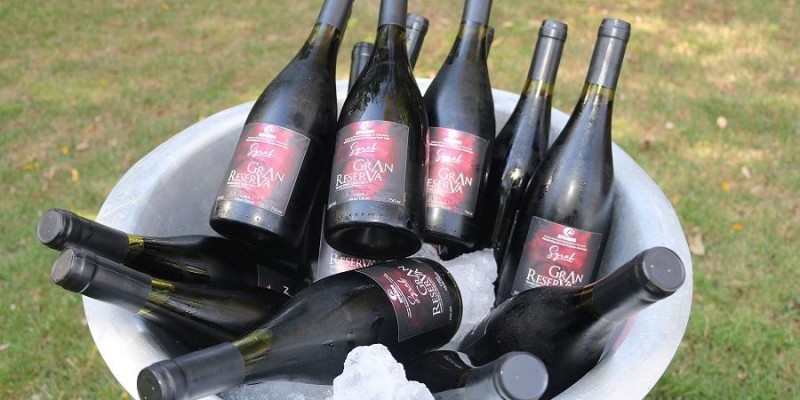 Vinhos finos mineiros ganham destaque na Wine Trade Fair