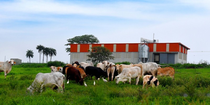 ETASA abre 15 vagas remanescentes para curso técnico gratuito em Agronegócio