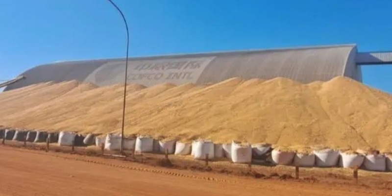 Safra recorde deve superar capacidade dos armazéns em 133 milhões de toneladas
