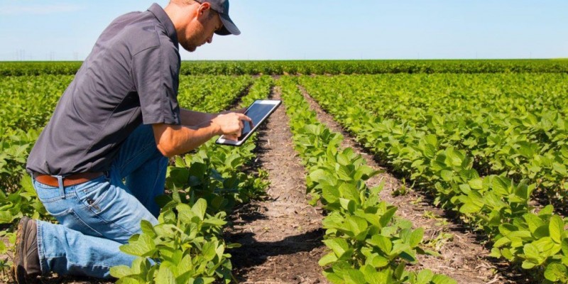 Agro tem até dia 30 para escolher tributação que pode alterar competitividade em 2027