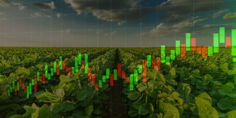 FII do agronegócio fecha venda milionária de fazenda e estima impacto positivo de R$ 5,78 por cota