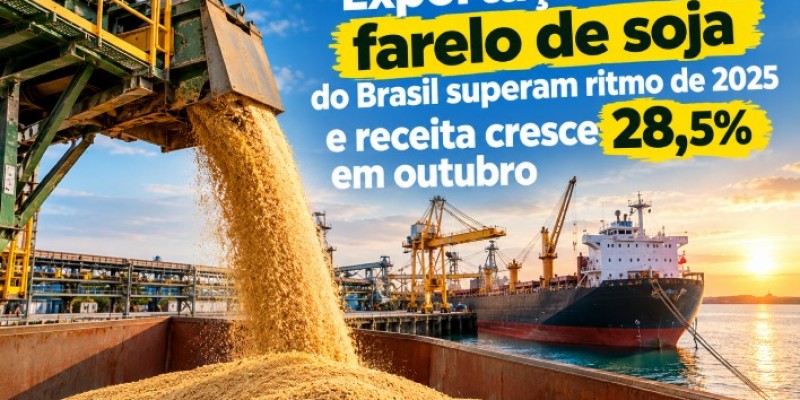 Exportações de farelo de soja do Brasil superam ritmo de 2025 e receita cresce 28,5% em outubro