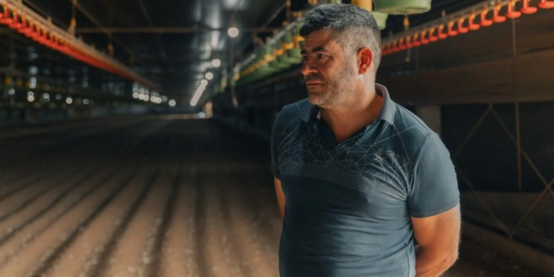 Família de Chapecó amplia aviário para quase 100 mil aves com apoio do cooperativismo de crédito