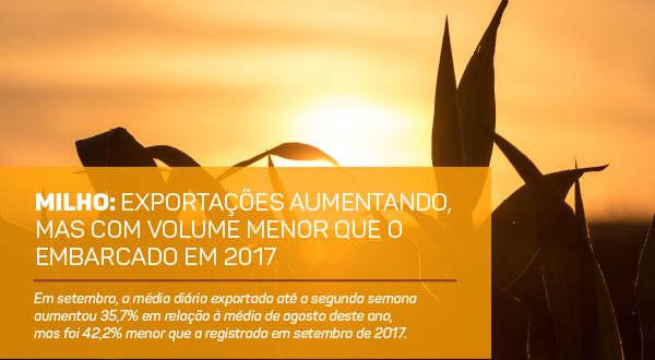 Milho: exportações aumentando, mas com volume menor que o embarcado em 2017