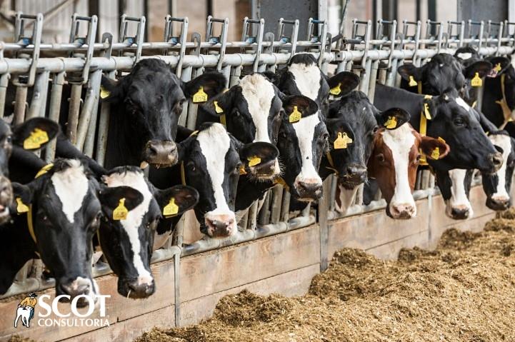 Custos de produção se mantém em patamares elevados em setembro