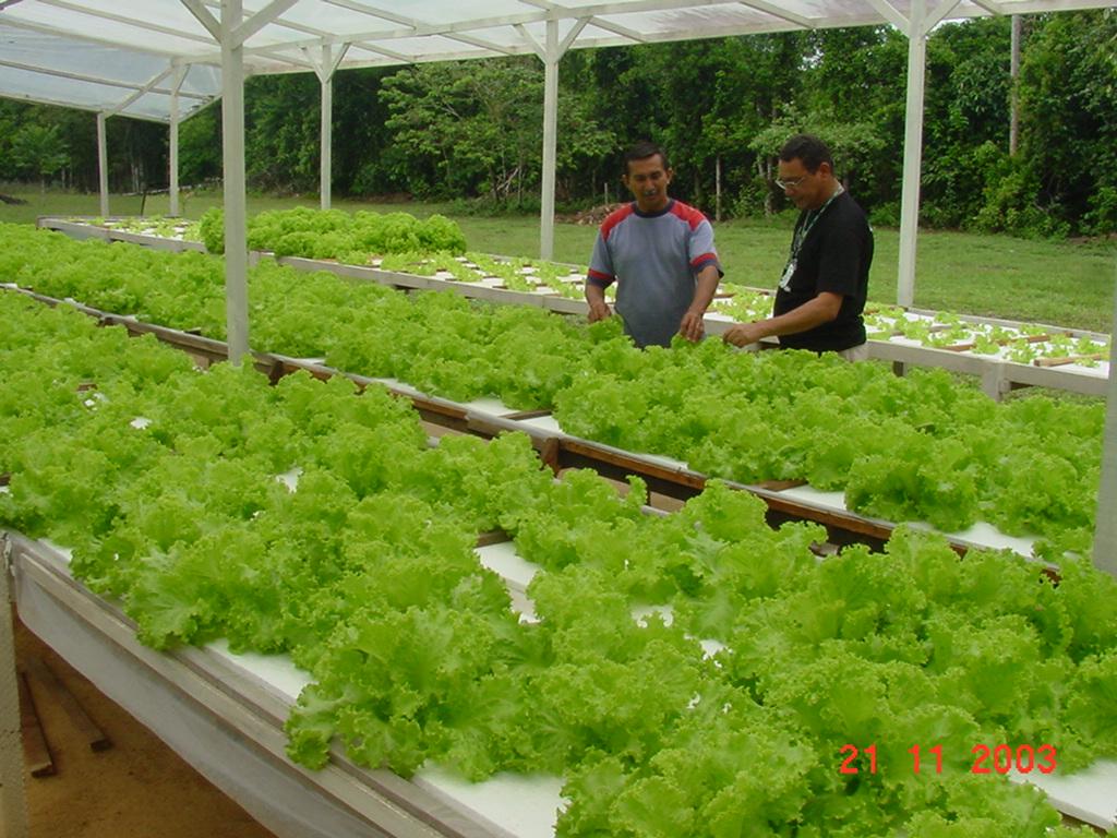 Conab apoia agricultura familiar em três estados com recurso extra de R$ 1,5 milhão