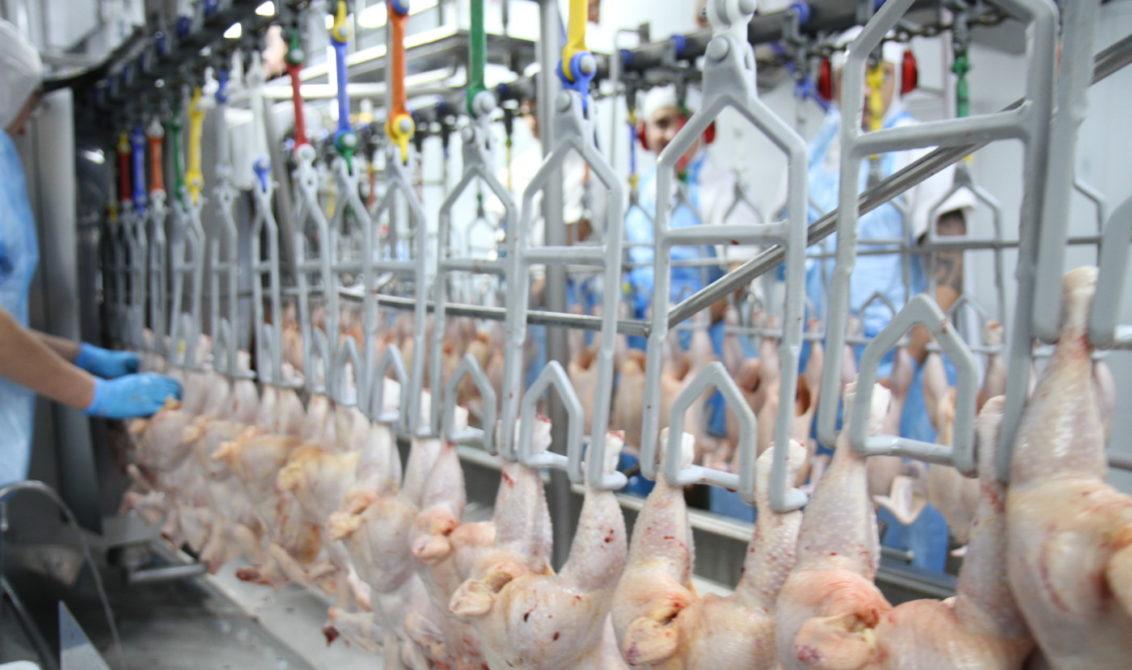 Exportação de carne de frango registra alta de 5,8% em sete meses