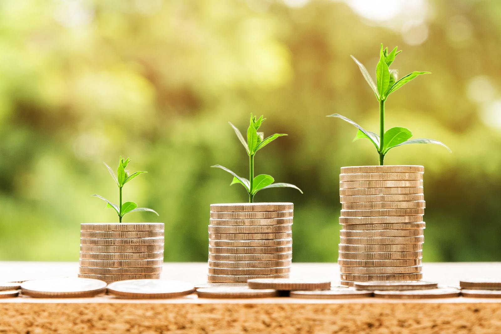 Seguro rural: produtores receberam R$ 925 mi em indenizações em 2018