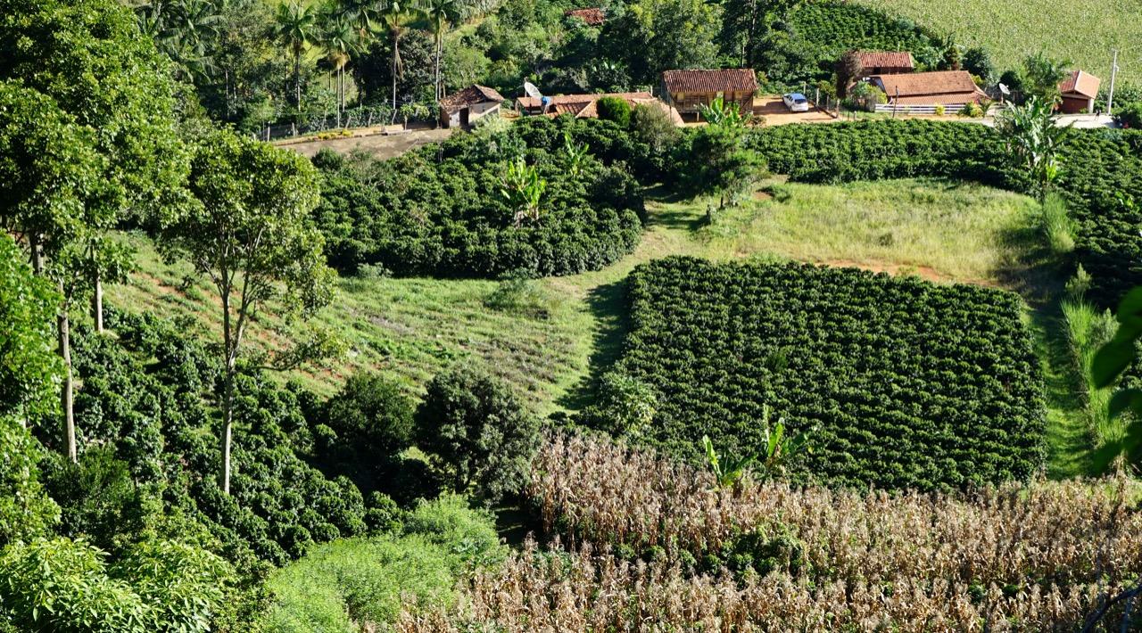 Ministério da Agricultura destaca tecnologia da Epamig para gestão sustentável de propriedades rurais