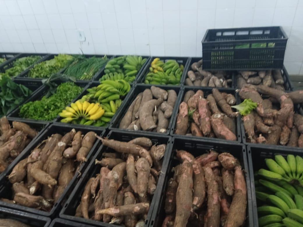 Cerca de 2,4 mil agricultores familiares são beneficiados pelo Programa de Aquisição de Alimentos em 2021