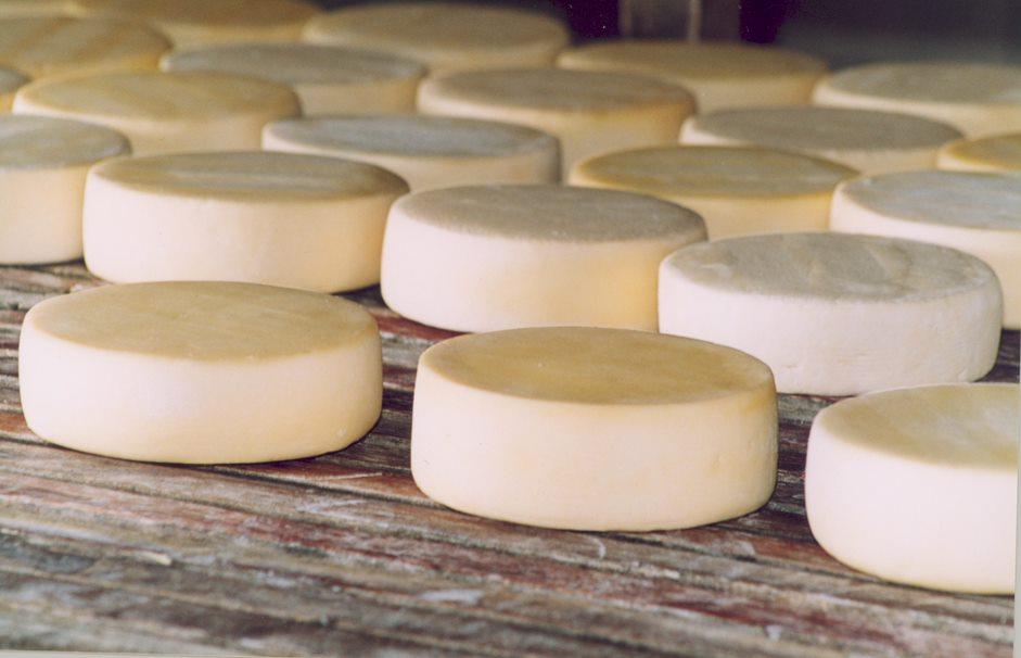 Dia Mundial do Queijo é celebrado nesta quinta-feira