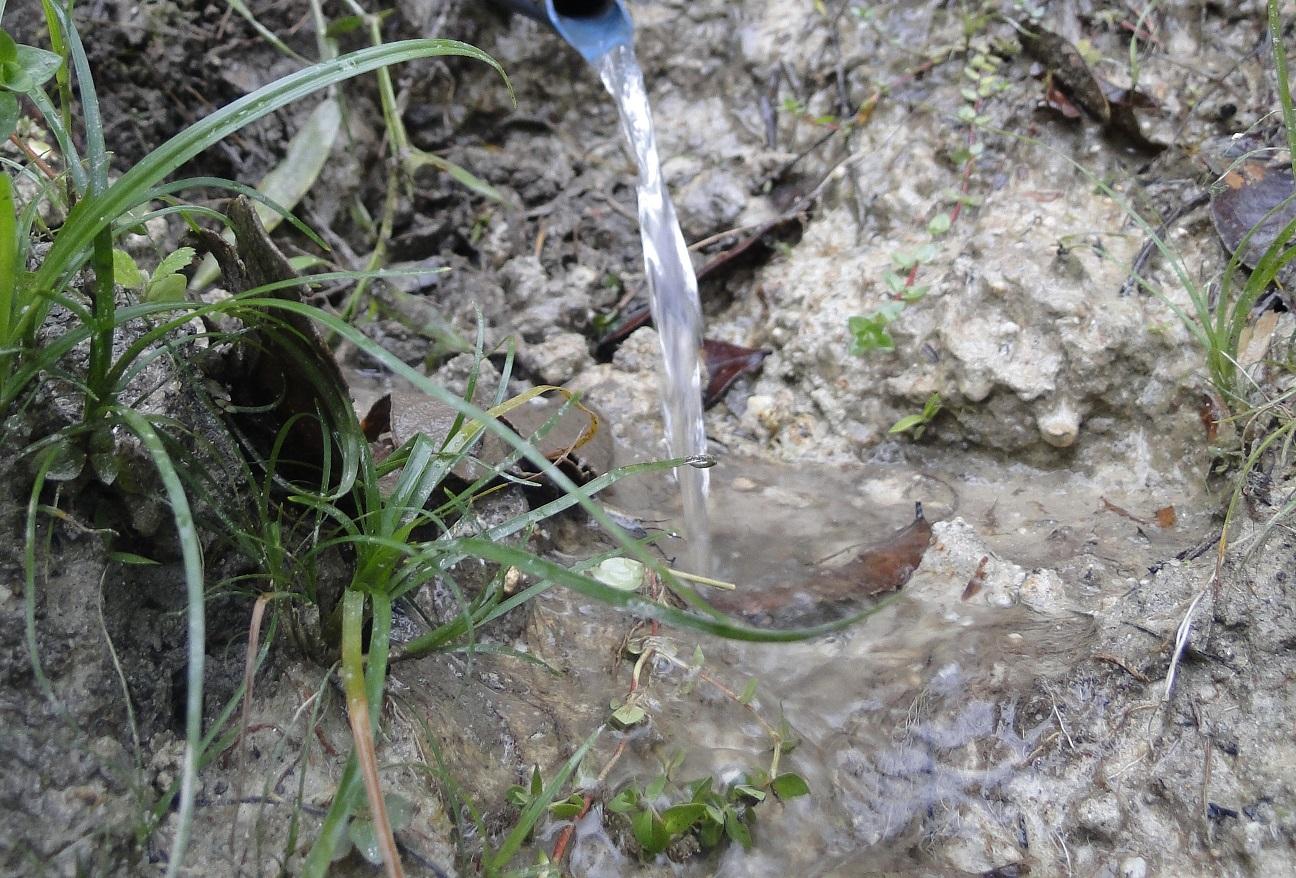 Epamig realiza dia de campo sobre o uso da água na produção de leite e queijos