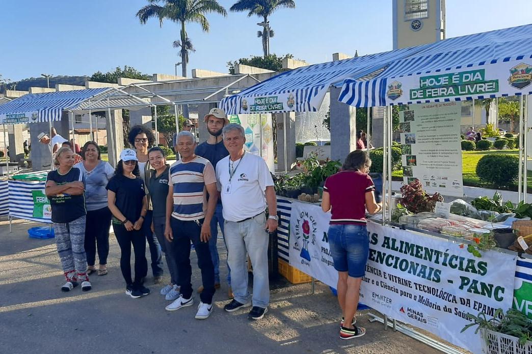 Epamig conduz projeto para popularização de hortaliças PANC na Zona da Mata