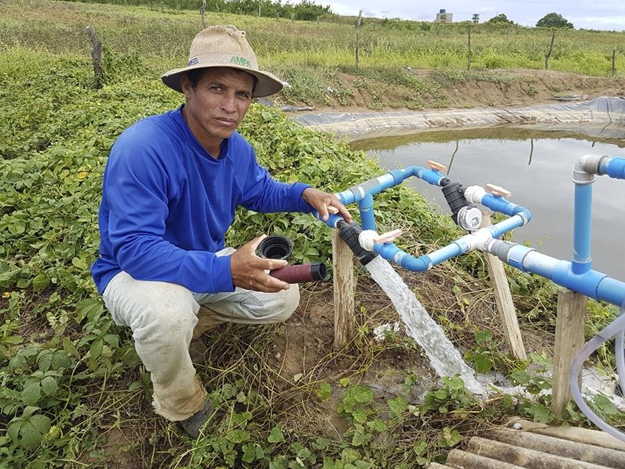 Minas Gerais alcança a maior produtividade algodoeira do país