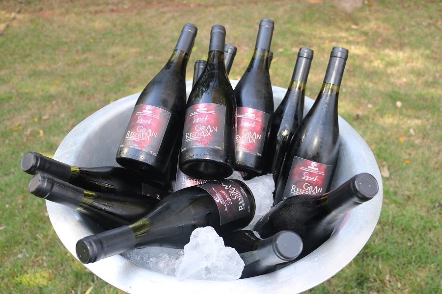 Vinhos finos mineiros ganham destaque na Wine Trade Fair