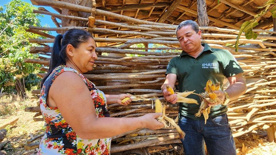 Inscrições abertas em Minas Gerais para o Programa Garantia-Safra 2025/2026