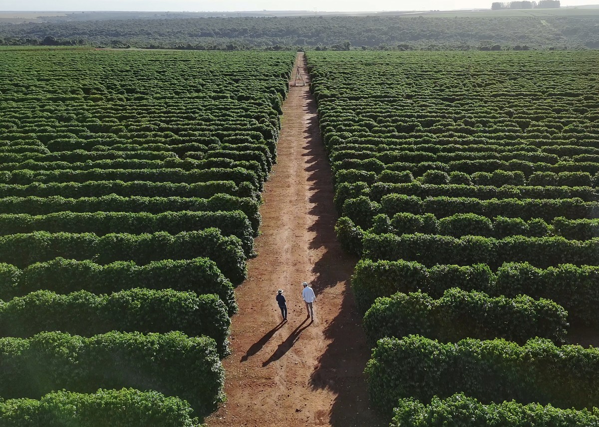 A rota da safra: como o mercado de capitais financia o agronegócio muito além da porteira