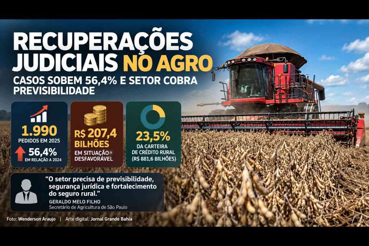 Recuperações judiciais no agro brasileiro sobem 56,4% e setor cobra previsibilidade para crédito e seguro rural