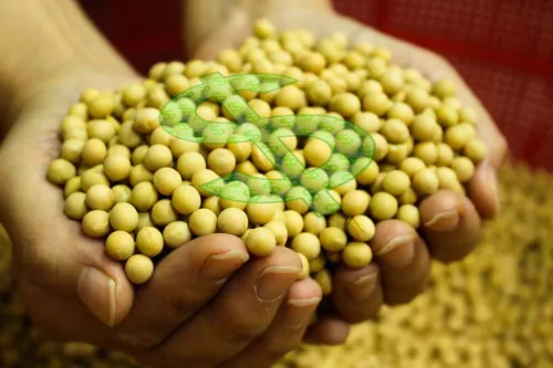 STF cancela cobrança do Funrural: entenda o que muda para quem pagou