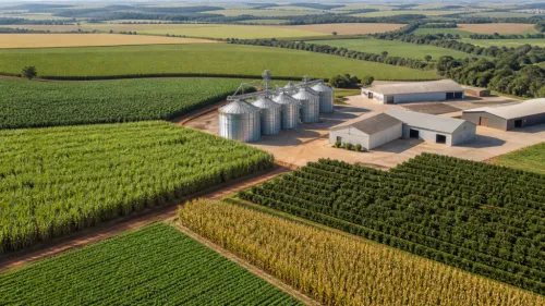 Agronegócio atinge recorde histórico: 28,4 milhões de pessoas trabalhando no setor em 2026