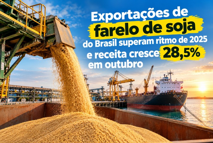 Exportações de farelo de soja do Brasil superam ritmo de 2025 e receita cresce 28,5% em outubro